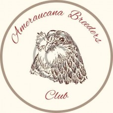 ABC Patch 1 